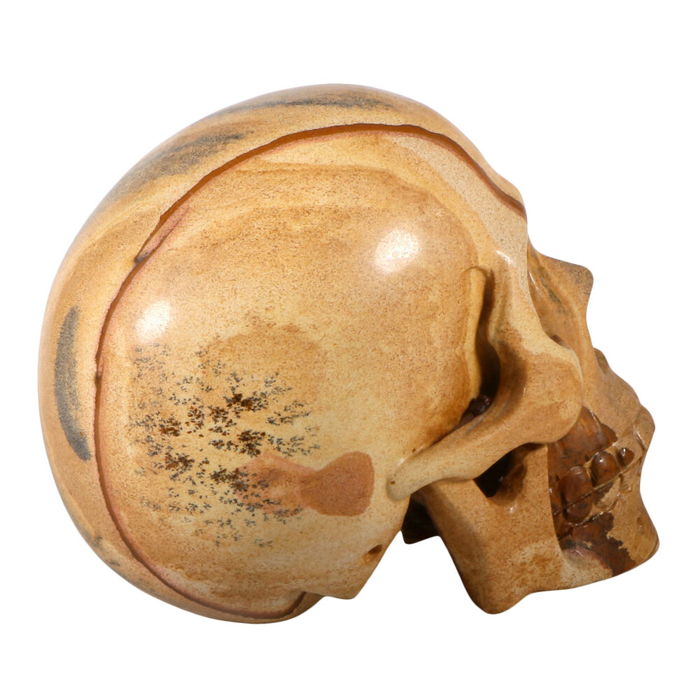 Jaspis (landschap) kristallen schedel 14,5 x 12 x 9 cm | 2195 gram Jaspis (landschap) kristallen schedel 14,5 x 12 x 9 cm | 2195 gram