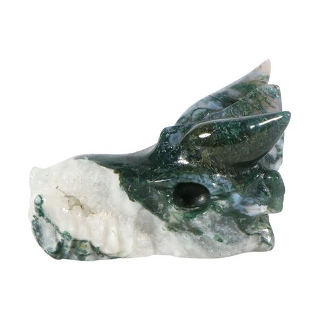 Mosagaat draken schedel 7,5 x 5 x 4,5 cm | 164 gram