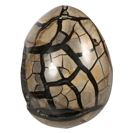 Septarie edelsteen ei met deksel 19,5 x 15 x 15 cm | 6010 gram Septarie edelsteen ei met deksel 19,5 x 15 x 15 cm | 6010 gram