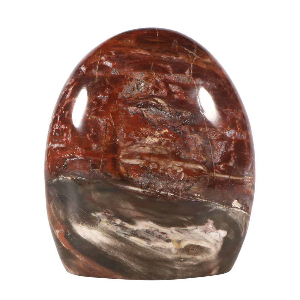 Versteend hout sculptuur 13 x 11,5 x 6,5 cm | 1685 gram