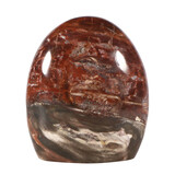 Versteend hout sculptuur 13 x 11,5 x 6,5 cm | 1685 gram Versteend hout sculptuur 13 x 11,5 x 6,5 cm | 1685 gram