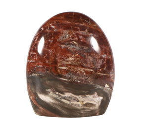 Versteend hout sculptuur 13 x 11,5 x 6,5 cm | 1685 gram