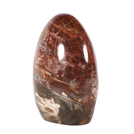 Versteend hout sculptuur 13 x 11,5 x 6,5 cm | 1685 gram