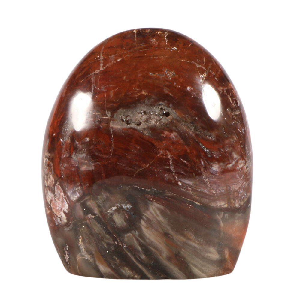 Versteend hout sculptuur 13 x 11,5 x 6,5 cm | 1685 gram