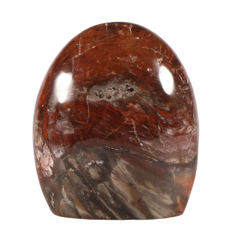 Versteend hout sculptuur 13 x 11,5 x 6,5 cm | 1685 gram