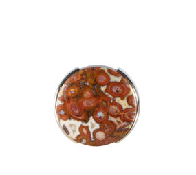 Zilveren ring versteend palm hout maat 18 | rond 1,9 cm (1)