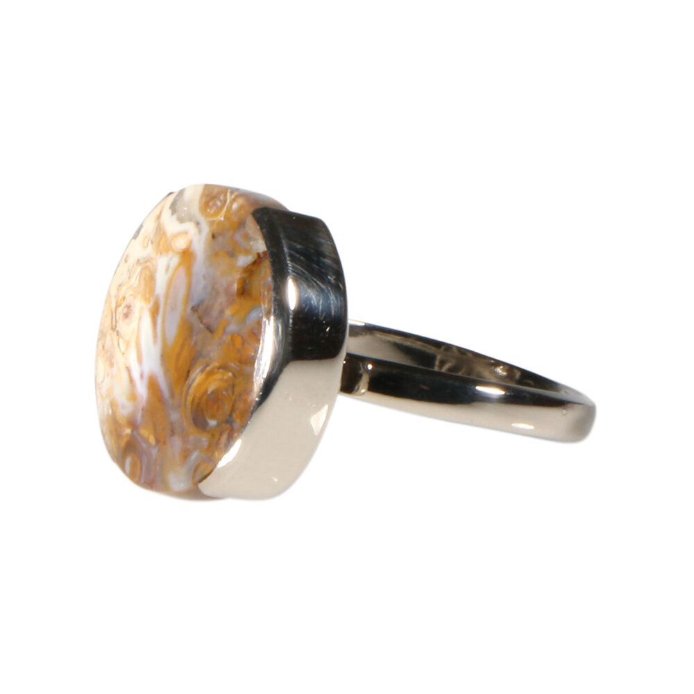 Zilveren ring versteend palm hout maat 20 | rond 1,9 cm Zilveren ring versteend palm hout maat 20 | rond 1,9 cm