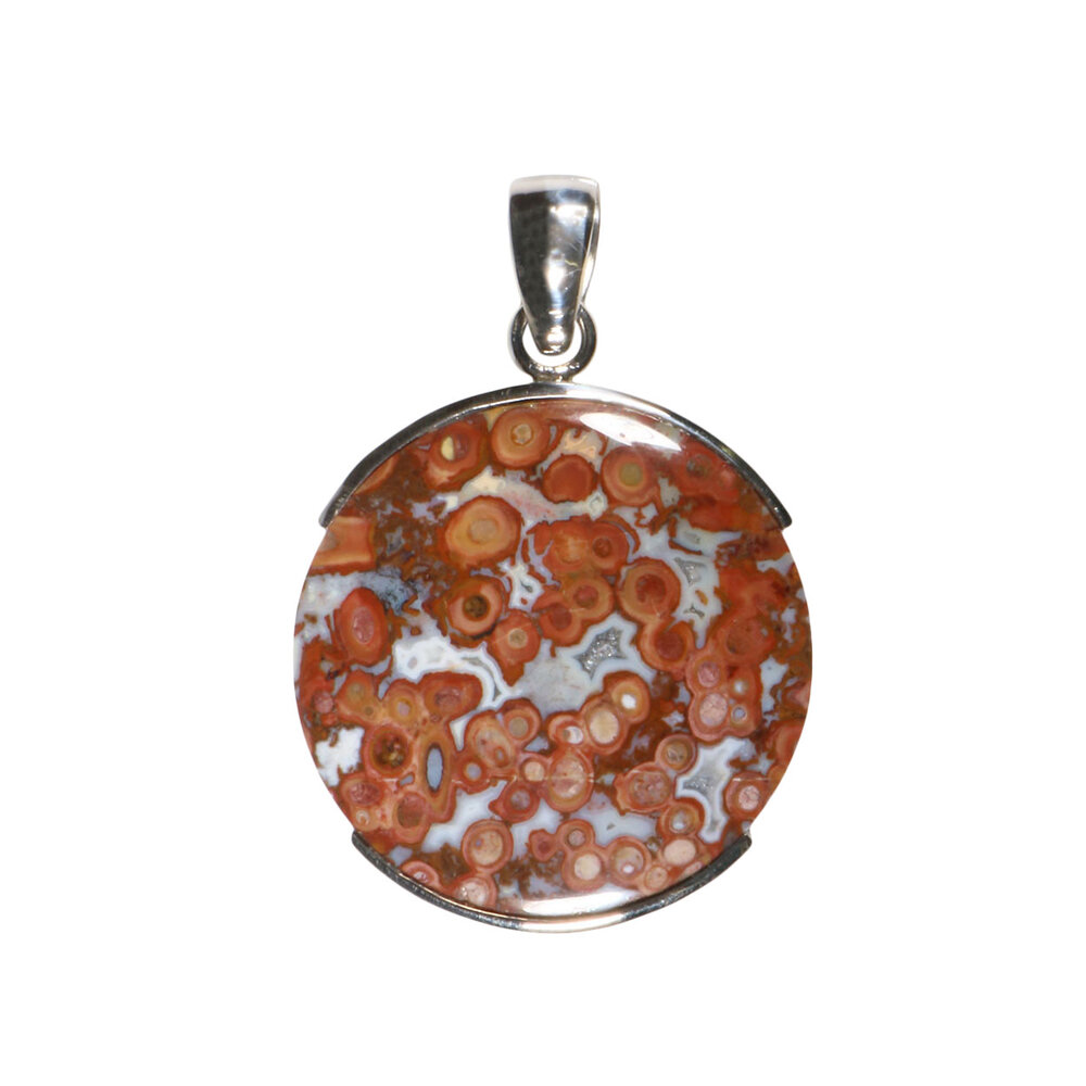 Zilveren hanger versteend palm hout | rond 2,9 cm (2) Zilveren hanger versteend palm hout | rond 2,9 cm (2)