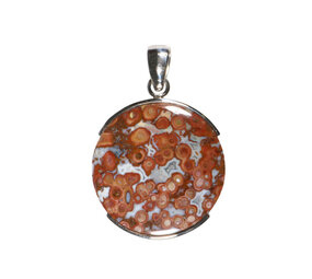 Zilveren hanger versteend palm hout | rond 2,9 cm (2) Zilveren hanger versteend palm hout | rond 2,9 cm (2)