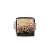 Zilveren ring versteend hout maat 18 | vierkant 1,5 x 1,5 cm Zilveren ring versteend hout maat 18 | vierkant 1,5 x 1,5 cm