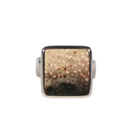 Zilveren ring versteend hout maat 18 | vierkant 1,5 x 1,5 cm Zilveren ring versteend hout maat 18 | vierkant 1,5 x 1,5 cm