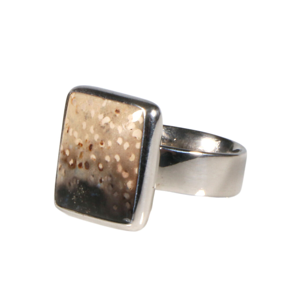 Zilveren ring versteend hout maat 18 | vierkant 1,5 x 1,5 cm Zilveren ring versteend hout maat 18 | vierkant 1,5 x 1,5 cm