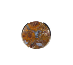 Zilveren ring versteend palm hout maat 16 1/2 | rond 1,8 cm Zilveren ring versteend palm hout maat 16 1/2 | rond 1,8 cm