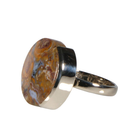 Zilveren ring versteend palm hout maat 16 1/2 | rond 1,8 cm Zilveren ring versteend palm hout maat 16 1/2 | rond 1,8 cm