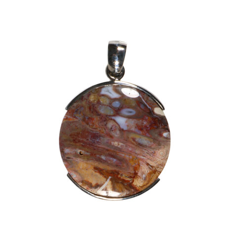 Zilveren hanger versteend palm hout | rond 2,9 cm (1) Zilveren hanger versteend palm hout | rond 2,9 cm (1)