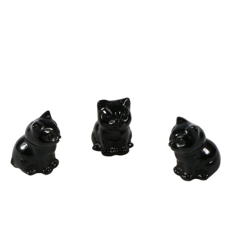 Obsidiaan (zwart) kat 3 x 2,2 x 2 cm Obsidiaan (zwart) kat 3 x 2,2 x 2 cm