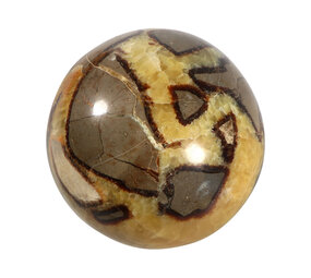 Septarie bol 100 mm | 1138 gram Septarie bol 100 mm | 1138 gram