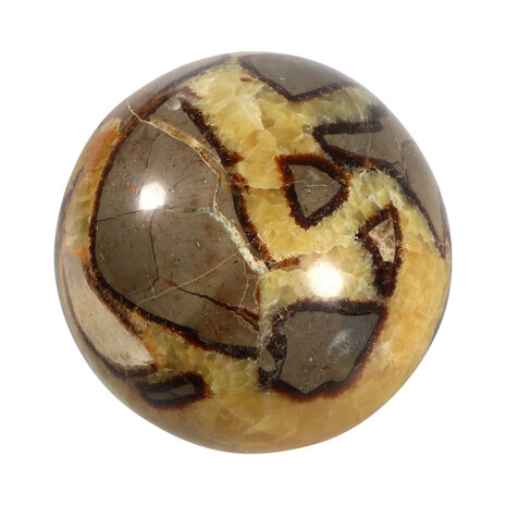 Septarie bol 100 mm | 1138 gram Septarie bol 100 mm | 1138 gram