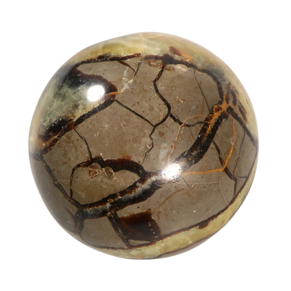 Septarie bol 100 mm | 1138 gram Septarie bol 100 mm | 1138 gram