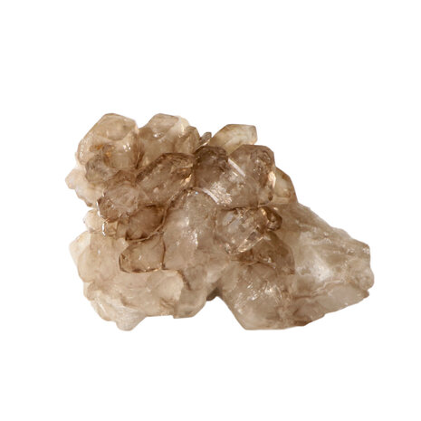 Rookkwarts alligator (elestiaal) cluster A-kwaliteit 13 x 10 x 9 cm | 903 gram