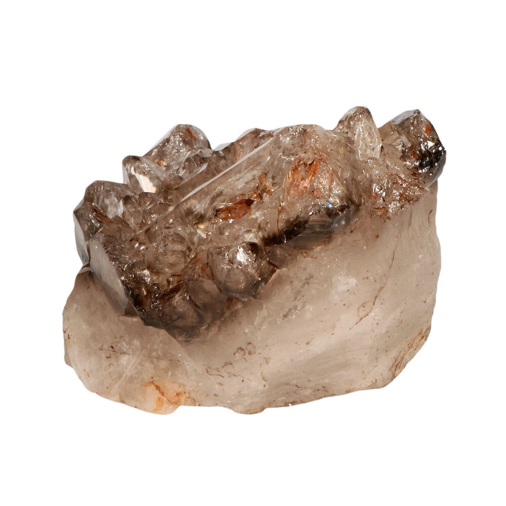 Rookkwarts alligator (elestiaal) cluster A-kwaliteit 15 x 10,5 x 11 cm | 1640 gram Rookkwarts alligator (elestiaal) cluster A-kwaliteit 15 x 10,5 x 11 cm | 1640 gram