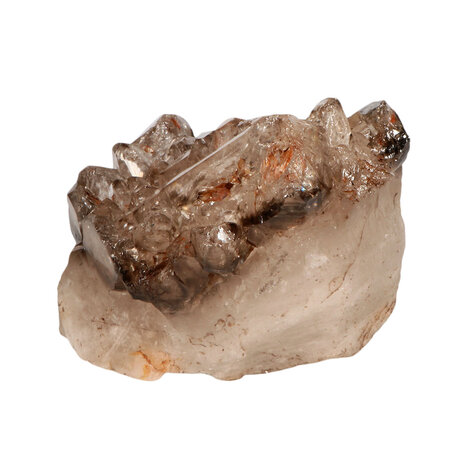 Rookkwarts alligator (elestiaal) cluster A-kwaliteit 15 x 10,5 x 11 cm | 1640 gram Rookkwarts alligator (elestiaal) cluster A-kwaliteit 15 x 10,5 x 11 cm | 1640 gram