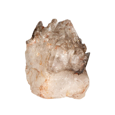 Rookkwarts alligator (elestiaal) cluster A-kwaliteit 15 x 10,5 x 11 cm | 1640 gram Rookkwarts alligator (elestiaal) cluster A-kwaliteit 15 x 10,5 x 11 cm | 1640 gram