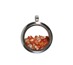 Locket hanger van rvs met vuuropaal