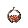 Locket hanger van rvs met vuuropaal Locket hanger van rvs met vuuropaal