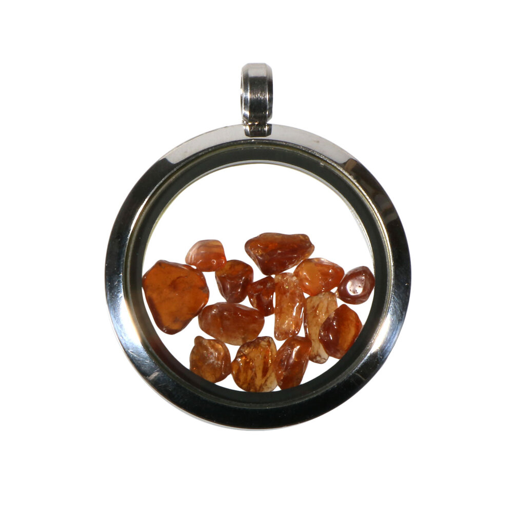 Locket hanger van rvs met hessoniet (granaat)