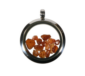 Locket hanger van rvs met hessoniet (granaat)