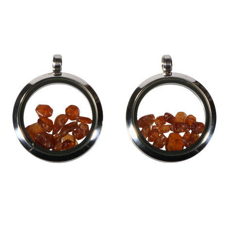 Locket hanger van rvs met hessoniet (granaat)