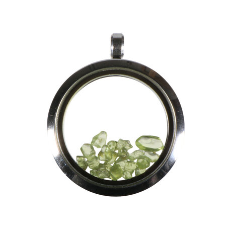Locket hanger van rvs met peridoot Locket hanger van rvs met peridoot
