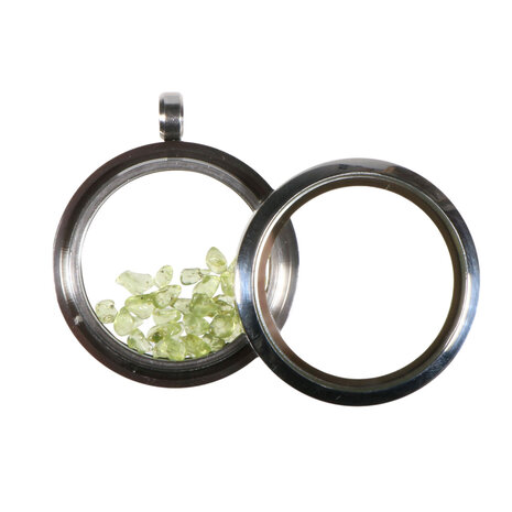 Locket hanger van rvs met peridoot Locket hanger van rvs met peridoot
