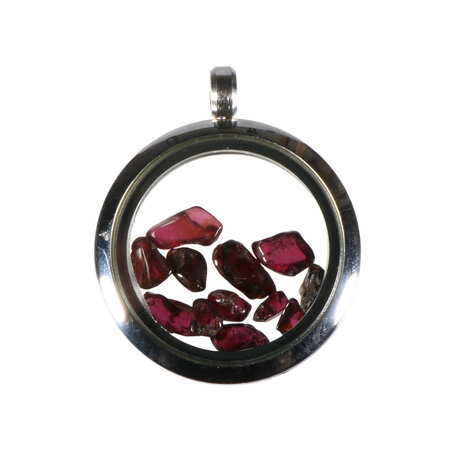 Locket hanger van rvs met granaat Locket hanger van rvs met granaat