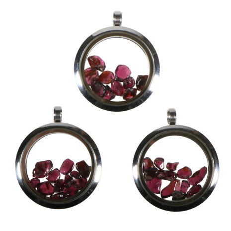 Locket hanger van rvs met granaat Locket hanger van rvs met granaat