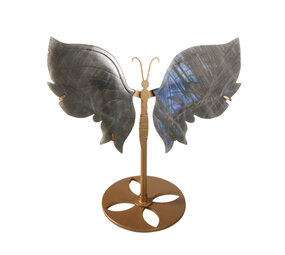 Labradoriet vlinder op standaard 20 x 13,5 x 0,5 cm | 473 gram Labradoriet vlinder op standaard 20 x 13,5 x 0,5 cm | 473 gram
