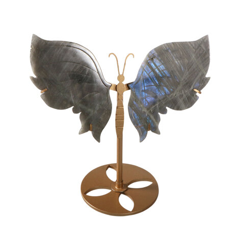 Labradoriet vlinder op standaard 20 x 13,5 x 0,5 cm | 473 gram Labradoriet vlinder op standaard 20 x 13,5 x 0,5 cm | 473 gram