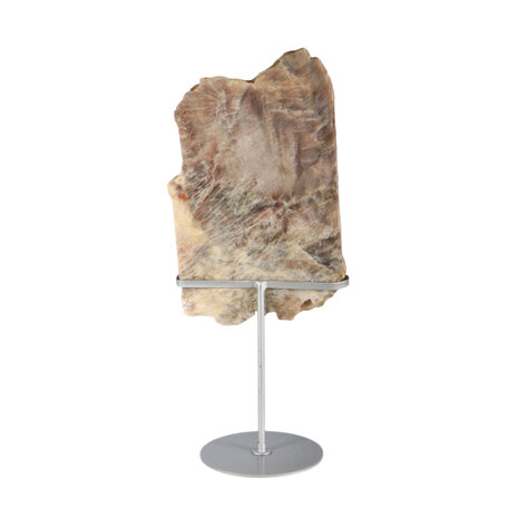 Maansteen A-kwaliteit schijf op standaard 31 x 17 x 2 cm | 2293 gram Maansteen A-kwaliteit schijf op standaard 31 x 17 x 2 cm | 2293 gram