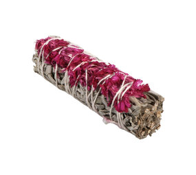 Salie smudge stick 10 cm | met roze Sinuata Salie smudge stick 10 cm | met roze Sinuata