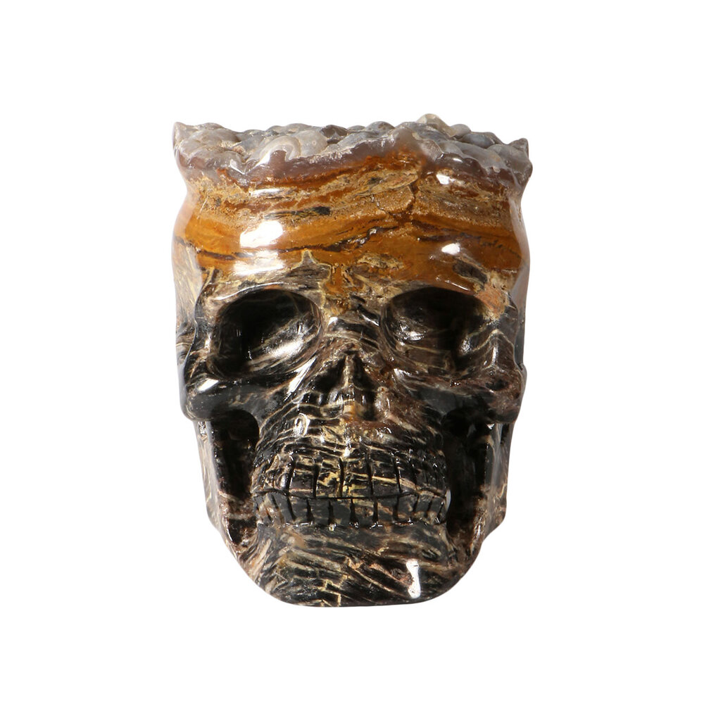 Versteend hout met chalcedoon schedel 19 x 12,5 x 13,5 cm | 3964 gram Versteend hout met chalcedoon schedel 19 x 12,5 x 13,5 cm | 3964 gram