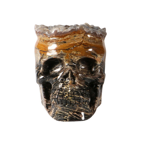 Versteend hout met chalcedoon schedel 19 x 12,5 x 13,5 cm | 3964 gram Versteend hout met chalcedoon schedel 19 x 12,5 x 13,5 cm | 3964 gram