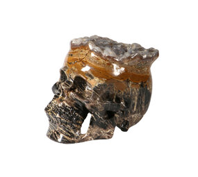 Versteend hout met chalcedoon schedel 19 x 12,5 x 13,5 cm | 3964 gram Versteend hout met chalcedoon schedel 19 x 12,5 x 13,5 cm | 3964 gram