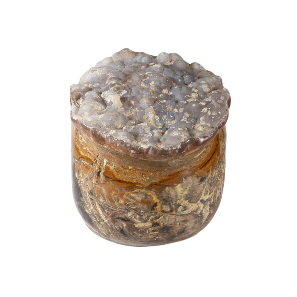 Versteend hout met chalcedoon schedel 19 x 12,5 x 13,5 cm | 3964 gram Versteend hout met chalcedoon schedel 19 x 12,5 x 13,5 cm | 3964 gram