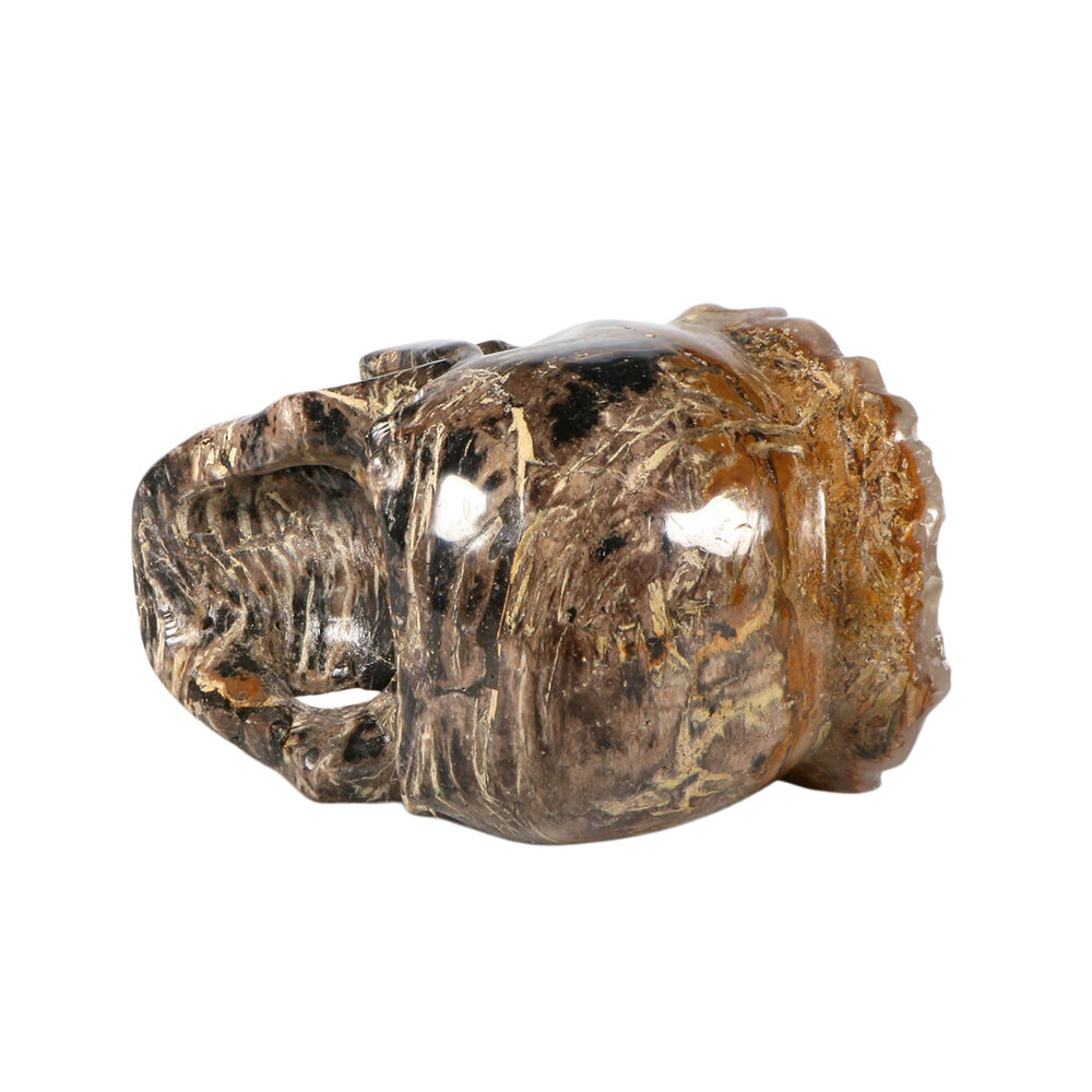 Versteend hout met chalcedoon schedel 19 x 12,5 x 13,5 cm | 3964 gram Versteend hout met chalcedoon schedel 19 x 12,5 x 13,5 cm | 3964 gram