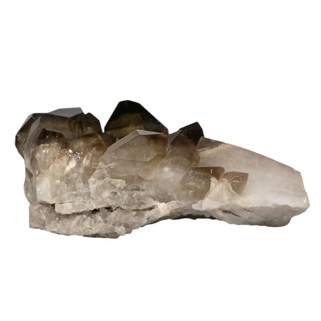 Citrien met rookkwarts (smoky citrien) zelfhelend cluster 28,5 x 16 x 11 cm | 4024 gram