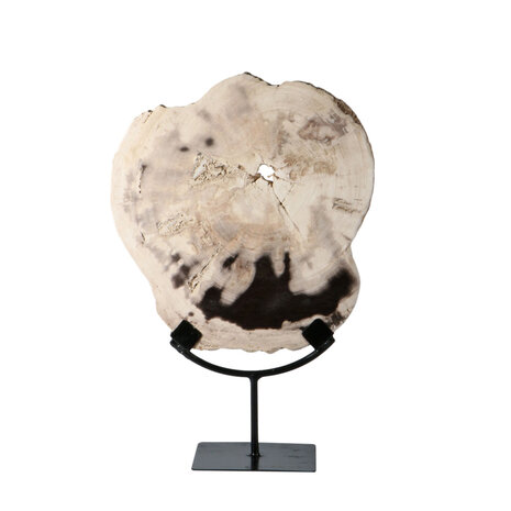 Versteend hout schijf gepolijst op standaard 27 x 25 x 2 cm | 2190 gram Versteend hout schijf gepolijst op standaard 27 x 25 x 2 cm | 2190 gram