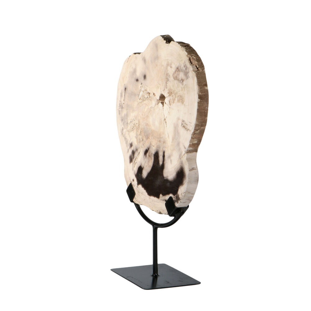 Versteend hout schijf gepolijst op standaard 27 x 25 x 2 cm | 2190 gram Versteend hout schijf gepolijst op standaard 27 x 25 x 2 cm | 2190 gram