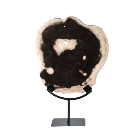 Versteend hout schijf gepolijst op standaard 27 x 25 x 2 cm | 2190 gram Versteend hout schijf gepolijst op standaard 27 x 25 x 2 cm | 2190 gram