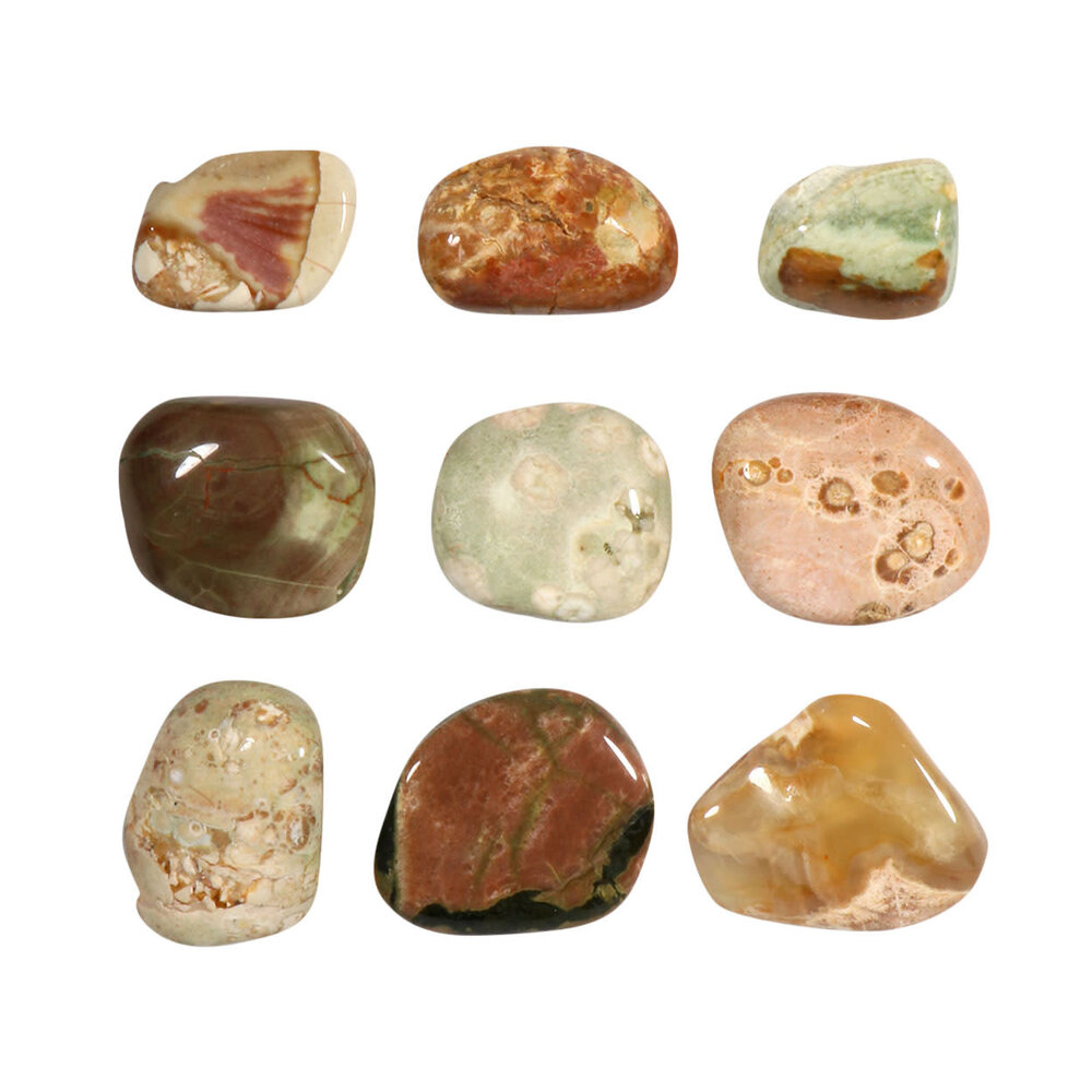 Thunderegg of amulet steen 2 - 5 gram